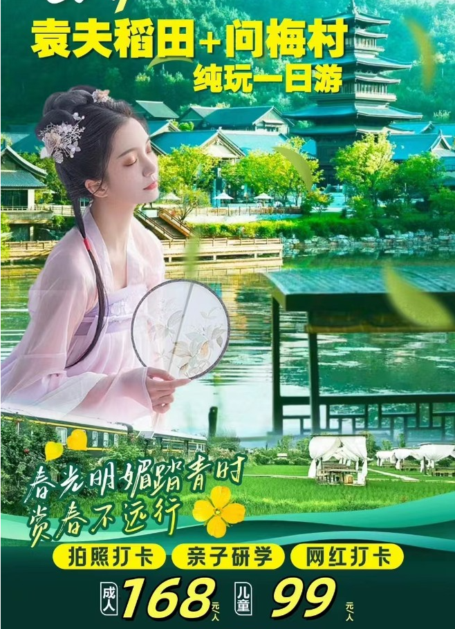 袁夫稻田  问梅村一日游